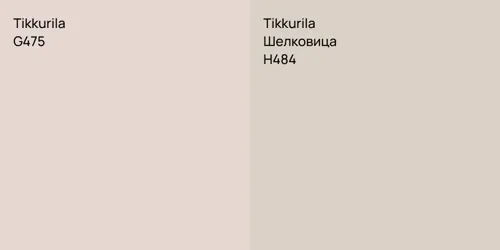 G475 null vs H484 Шелковица