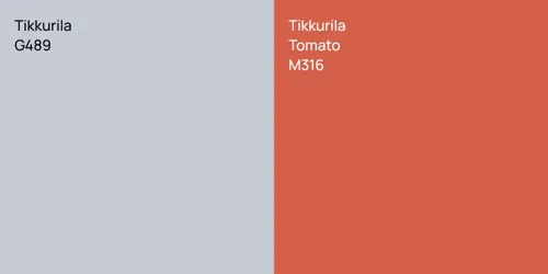 G489  vs M316 Tomato