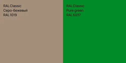 RAL 1019 Серо-бежевый vs RAL 6037  Pure green