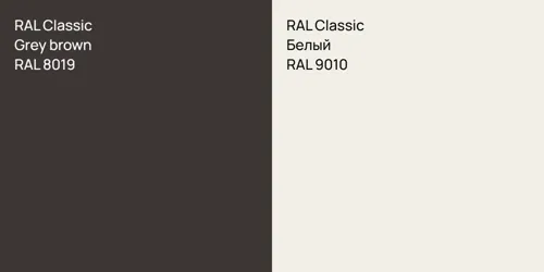 RAL 8019  Grey brown vs RAL 9010 Белый