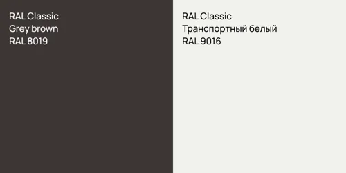 RAL 8019  Grey brown vs RAL 9016 Транспортный белый