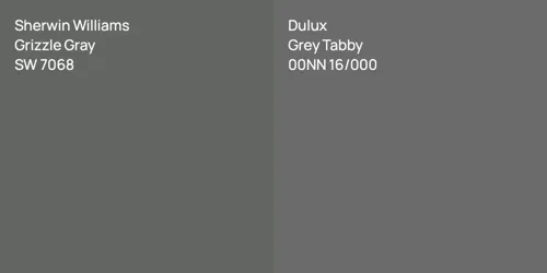 SW 7068 Grizzle Gray vs 00NN 16/000 Grey Tabby