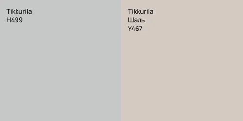 H499  vs Y467 Шаль