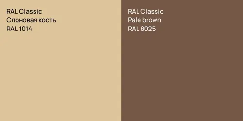 RAL 1014 Слоновая кость vs RAL 8025  Pale brown