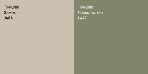 J484 Замок vs L447 Чашелистник