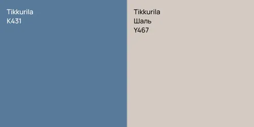 K431 null vs Y467 Шаль