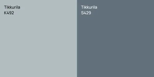 K492 null vs S429 null