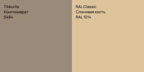 S484 Конгломерат vs RAL 1014 Слоновая кость
