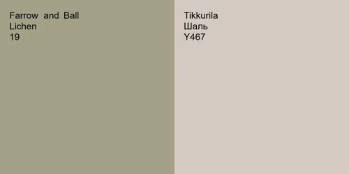 19 Lichen vs Y467 Шаль