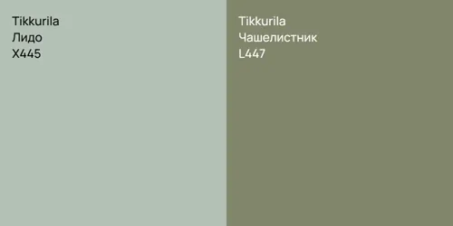 X445 Лидо vs L447 Чашелистник