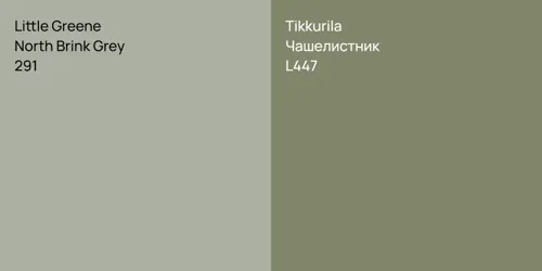 291 North Brink Grey vs L447 Чашелистник