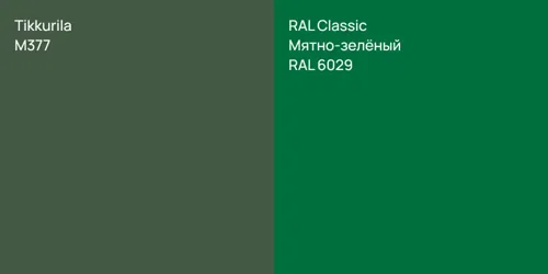 M377  vs RAL 6029 Мятно-зелёный