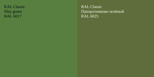 RAL 6017  May green vs RAL 6025 Папоротниково-зелёный