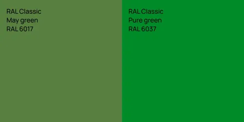 RAL 6017  May green vs RAL 6037  Pure green
