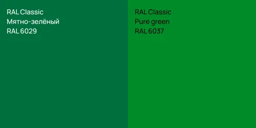 RAL 6029 Мятно-зелёный vs RAL 6037  Pure green