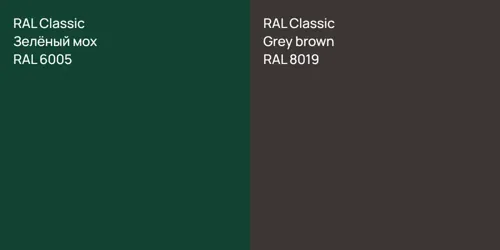 RAL 6005 Зелёный мох vs RAL 8019  Grey brown