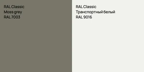 RAL 7003  Moss grey vs RAL 9016 Транспортный белый