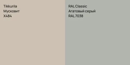 X484 Мусковит vs RAL 7038 Агатовый серый