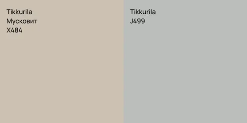 X484 Мусковит vs J499 