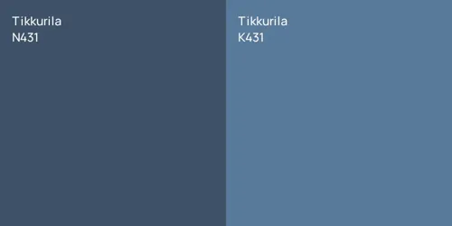 N431 null vs K431 null