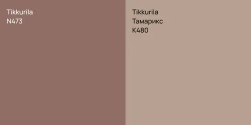 N473  vs K480 Тамарикс