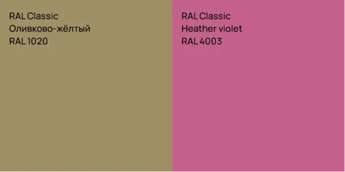 RAL 1020 Оливково-жёлтый vs RAL 4003  Heather violet