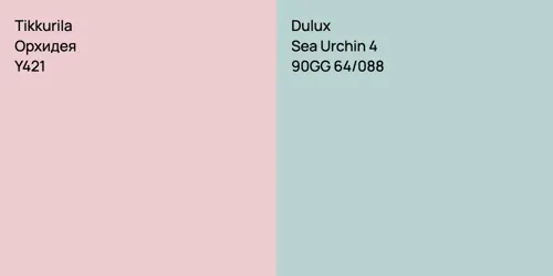 Y421 Орхидея vs 90GG 64/088 Sea Urchin 4