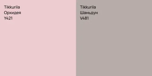 Y421 Орхидея vs V481 Шаньдун
