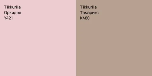 Y421 Орхидея vs K480 Тамарикс