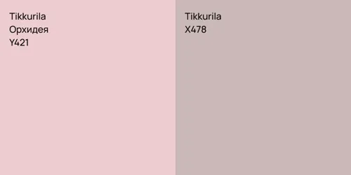 Y421 Орхидея vs X478 