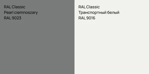 RAL 9023  Pearl dark grey vs RAL 9016 Транспортный белый
