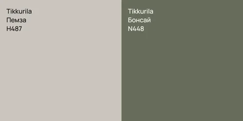H487 Пемза vs N448 Бонсай