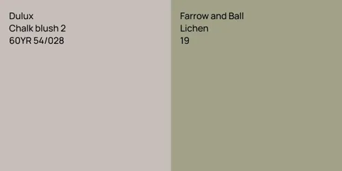 60YR 54/028 Chalk blush 2 vs 19 Lichen