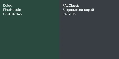 07GG 07/143 Pine Needle vs RAL 7016 Антрацитово-серый