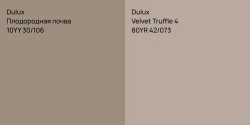 10YY 30/106 Плодородная почва vs 80YR 42/073 Velvet Truffle 4