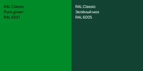 RAL 6037  Pure green vs RAL 6005 Зелёный мох
