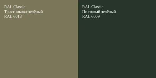 RAL 6013 Тростниково-зелёный vs RAL 6009 Пихтовый зелёный