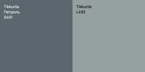 S491 Петроль vs L493 null