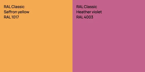 RAL 1017  Saffron yellow vs RAL 4003  Heather violet