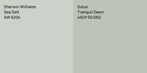 SW 6204 Sea Salt vs 45GY 55/052 Tranquil Dawn