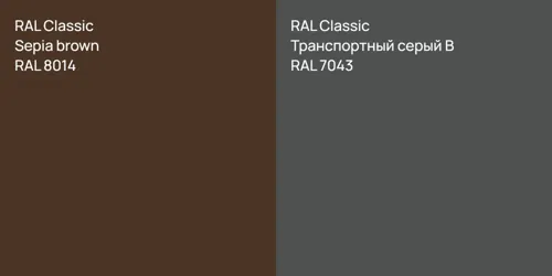 RAL 8014  Sepia brown vs RAL 7043 Транспортный серый B