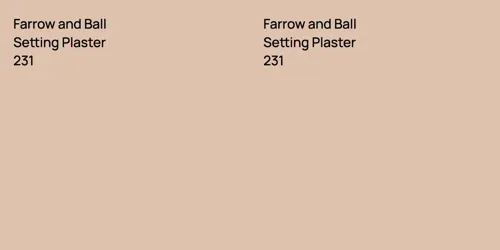 231 Setting Plaster vs 231 Setting Plaster