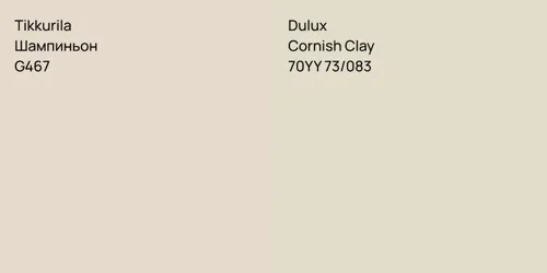 G467 Шампиньон vs 70YY 73/083 Cornish Clay