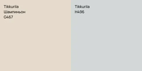 G467 Шампиньон vs H496 null