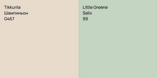 G467 Шампиньон vs 99 Salix