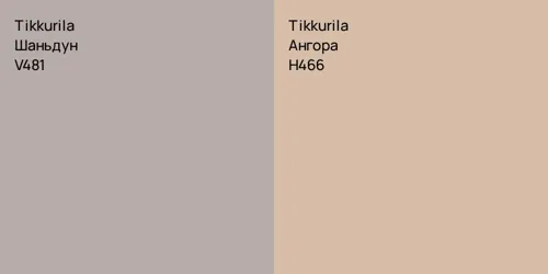V481 Шаньдун vs H466 Ангора