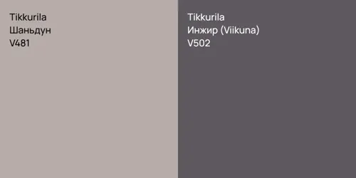V481 Шаньдун vs V502 Инжир (Viikuna)
