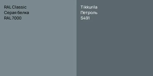 RAL 7000 Серая белка vs S491 Петроль
