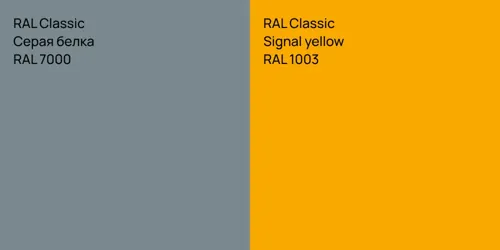 RAL 7000 Серая белка vs RAL 1003  Signal yellow