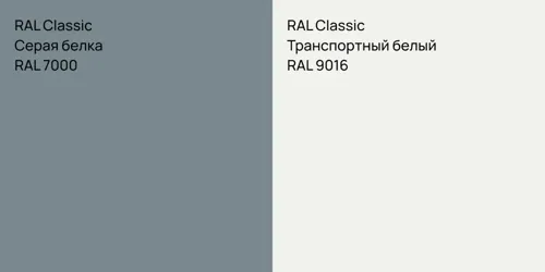 RAL 7000 Серая белка vs RAL 9016 Транспортный белый